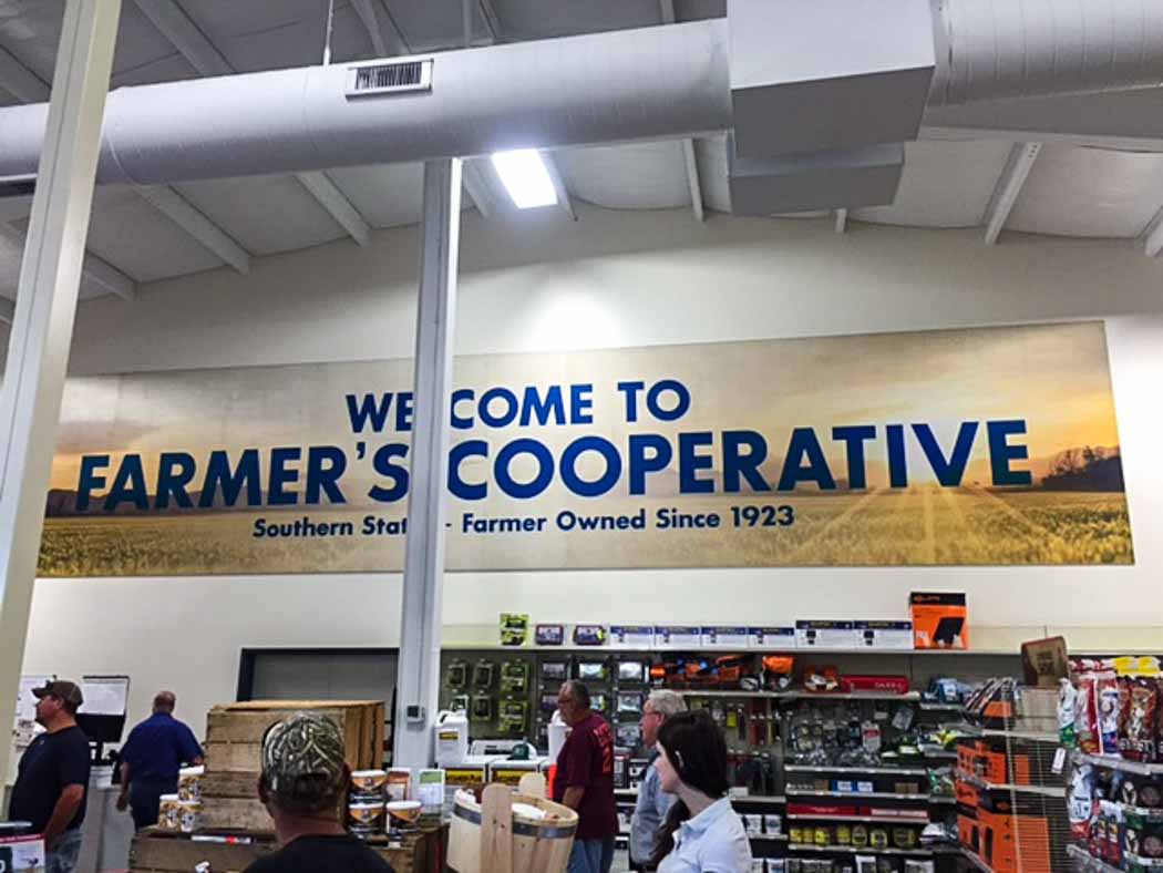 LARGE RETAIL BANNERS