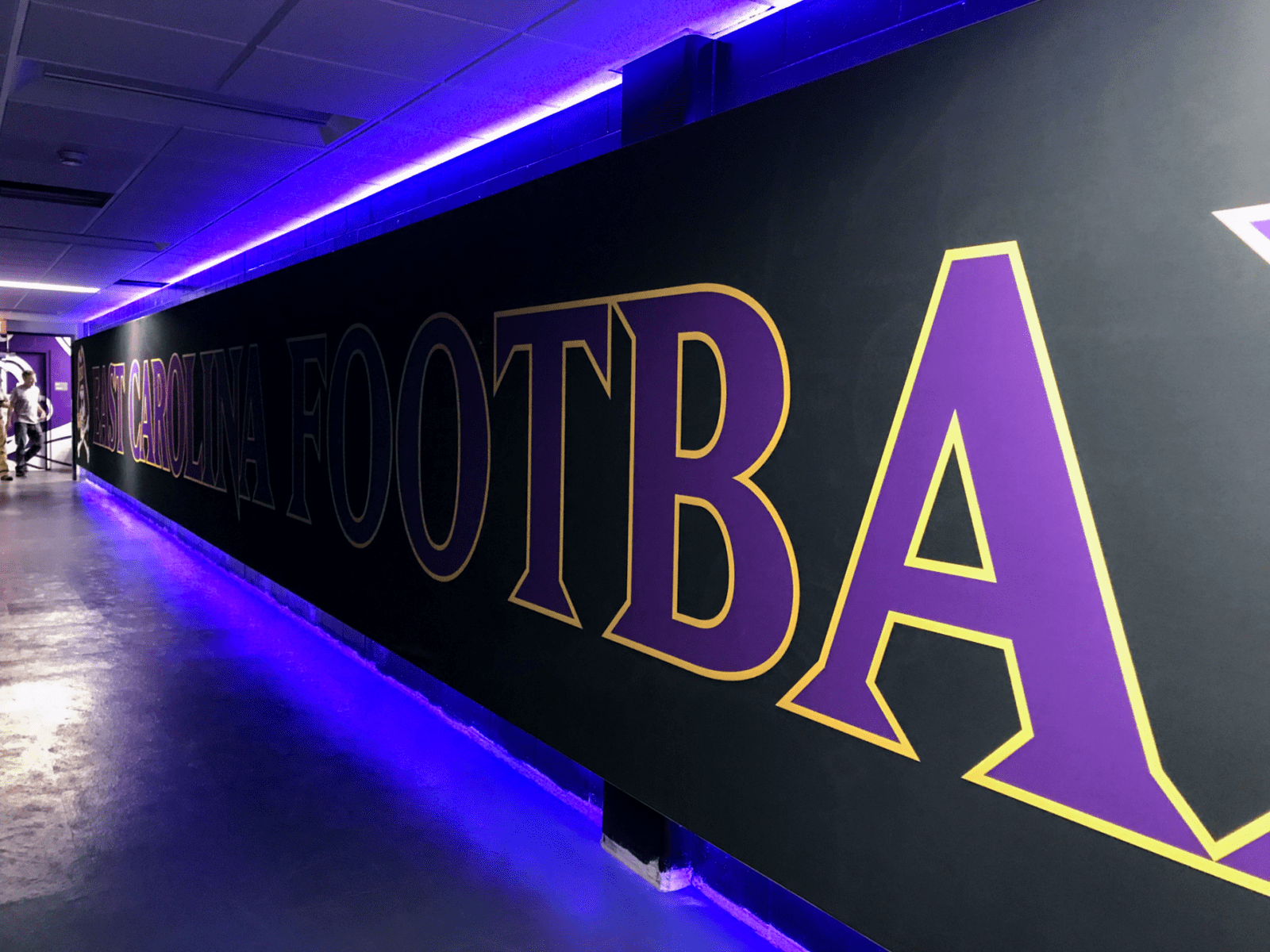 East Carolina RGBW Halo Lit Wall-Mounted Mural that spans 40 feet
