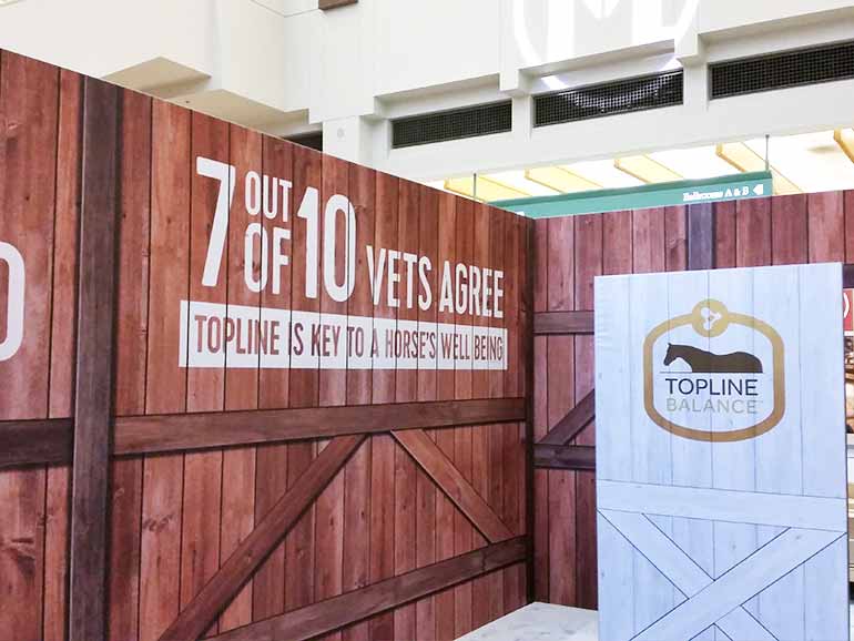 Globalshop 2019 Back To Roots Blog